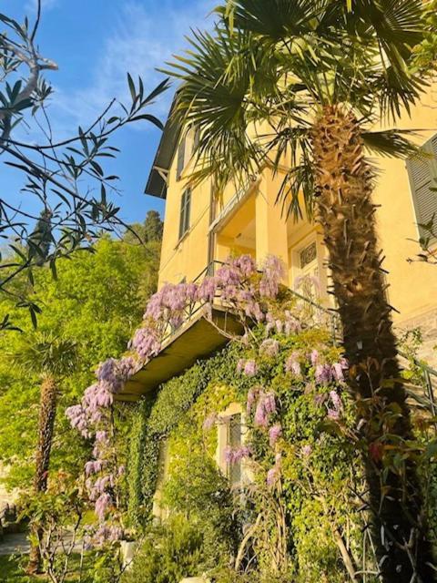 Villa Gina Varenna Buitenkant foto