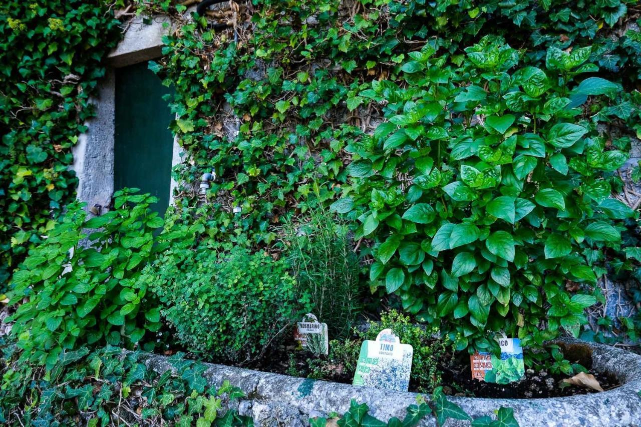 Villa Gina Varenna Buitenkant foto